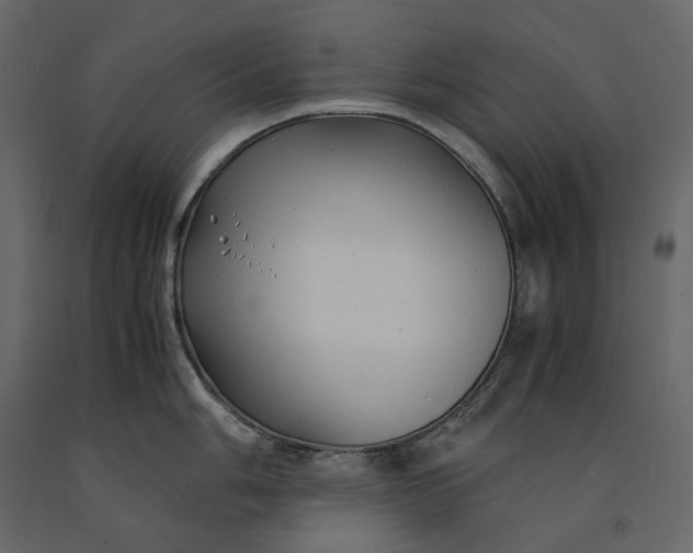 X0000091241006200708231713