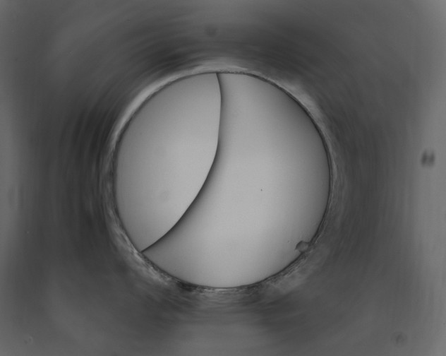 X0000091241008200708231713