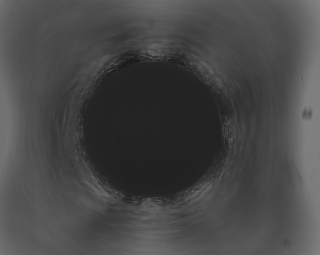 X0000091241009200708231712