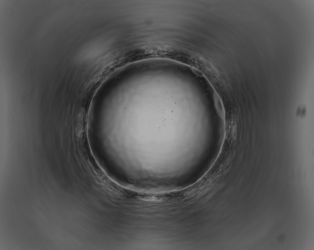 X0000091241012200708231712
