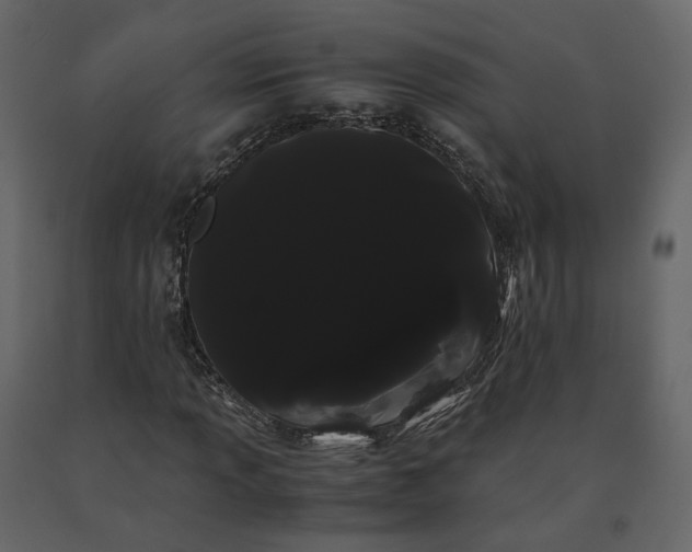 X0000091241013200708231712