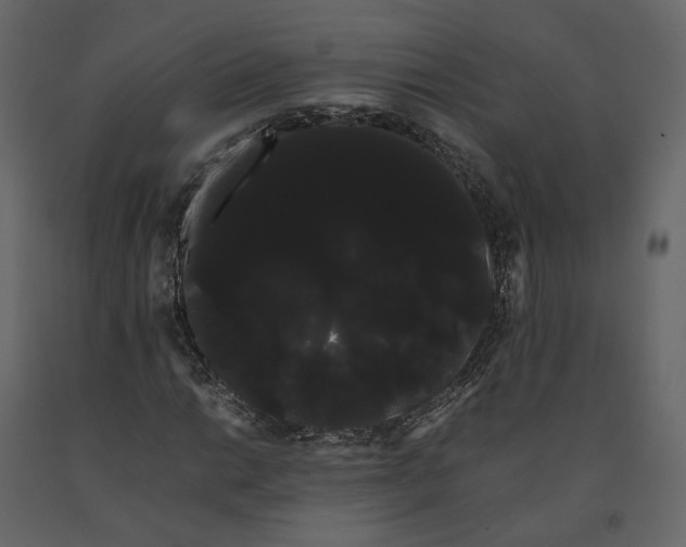 X0000091241014200708231712