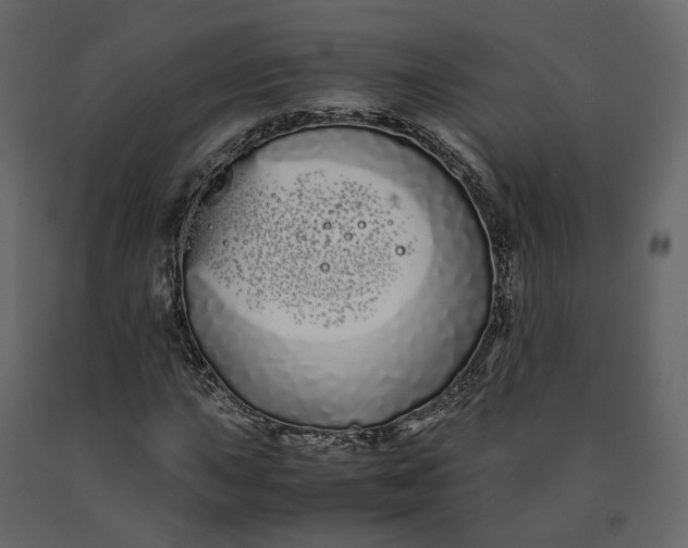 X0000091241015200708231712