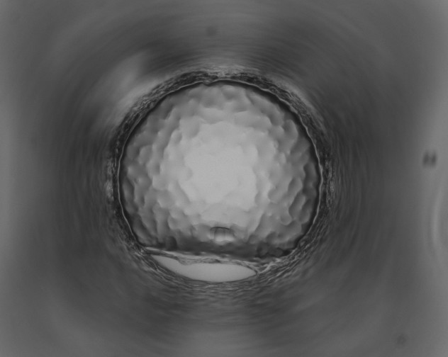 X0000091241016200708231712