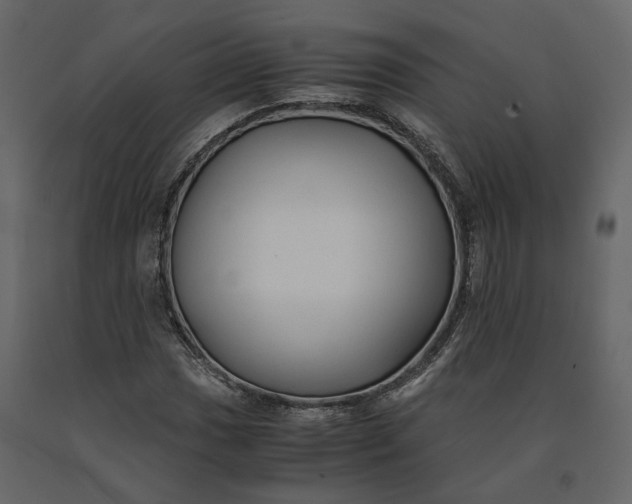 X0000091241017200708231712