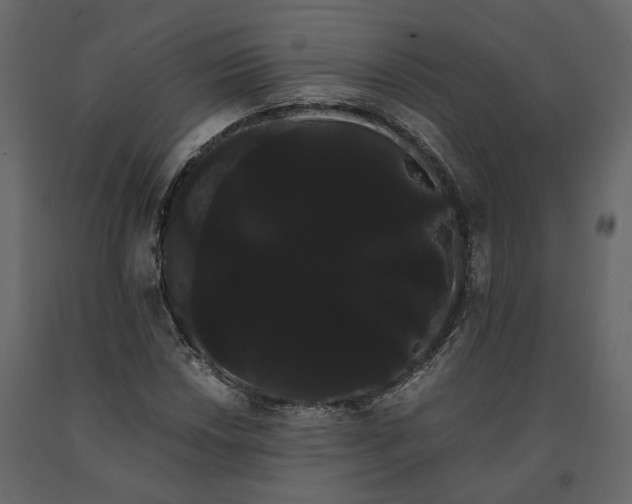 X0000091241018200708231712