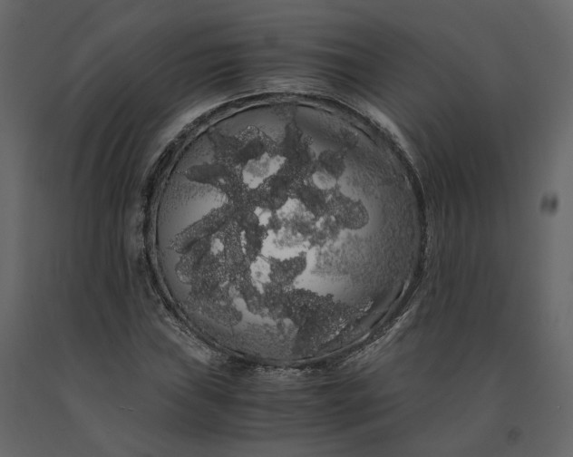 X0000091241019200708231712