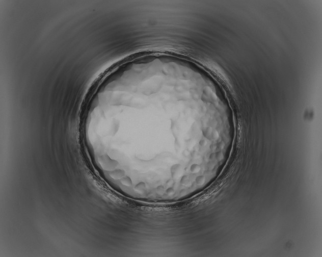 X0000091241020200708231712