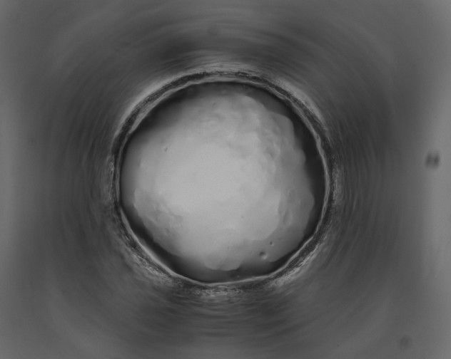 X0000091241021200708231712