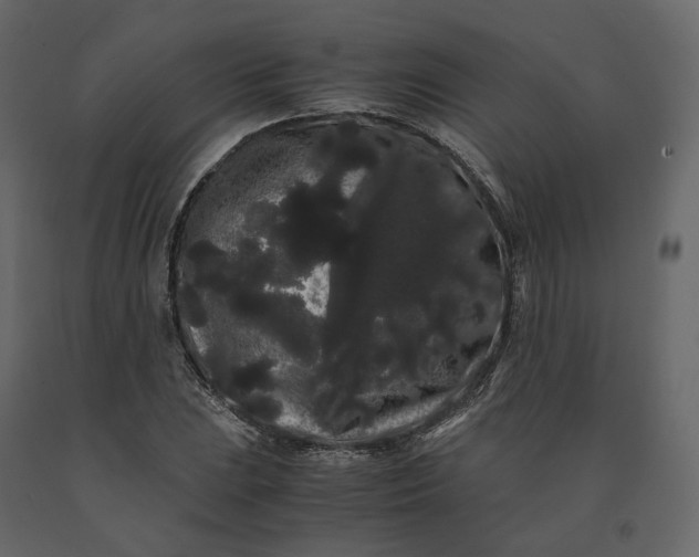 X0000091241023200708231712