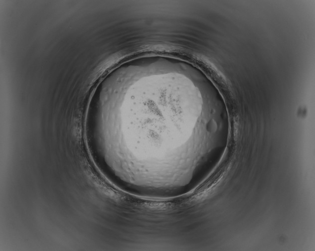 X0000091241025200708231712