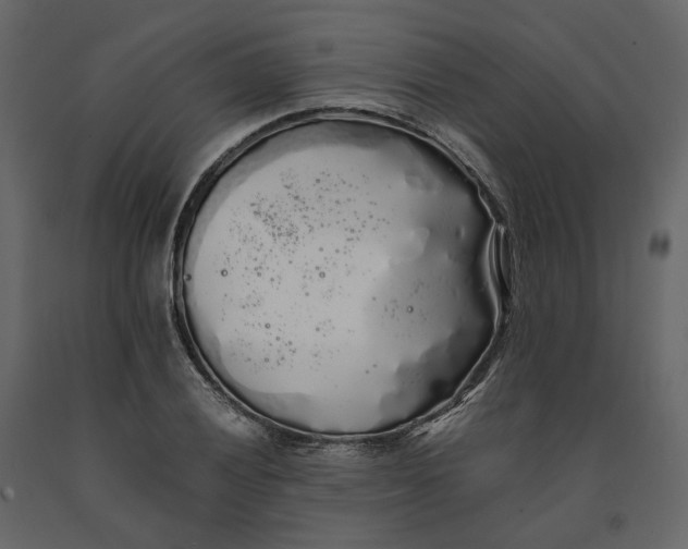 X0000091241028200708231712