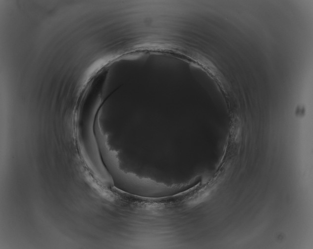 X0000091241030200708231712