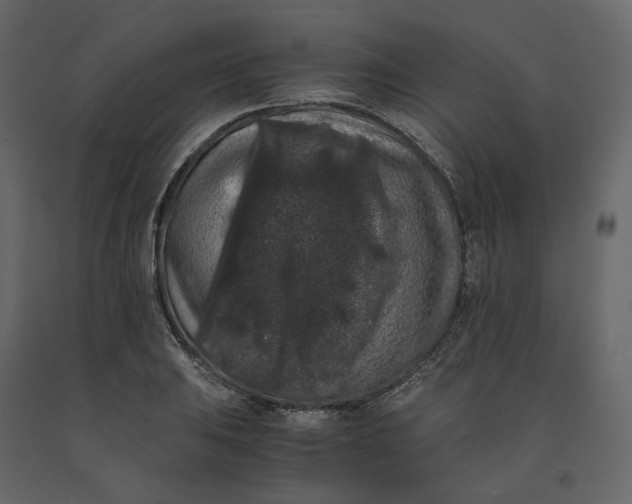 X0000091241031200708231712