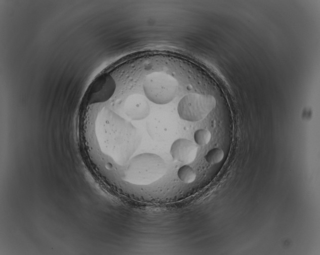 X0000091241032200708231712