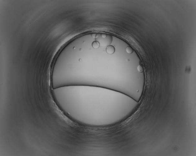 X0000091241036200708231712