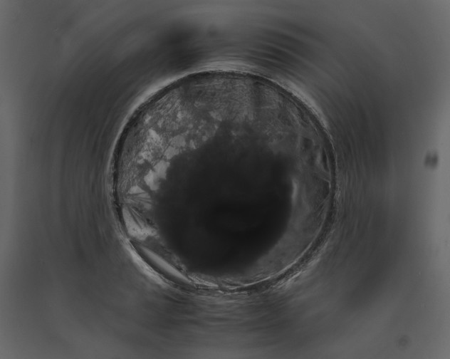 X0000091241037200708231712