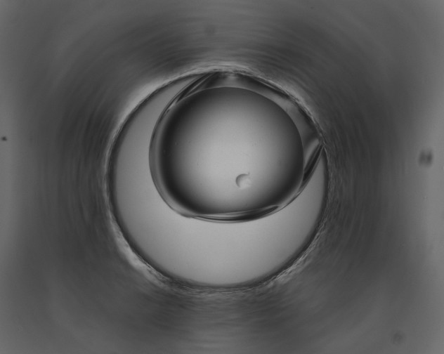 X0000091241038200708231712