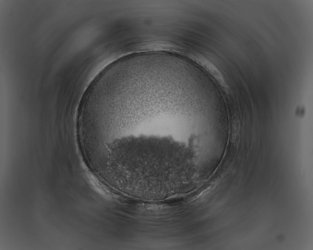 X0000091241039200708231712