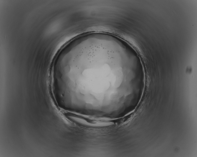 X0000091241040200708231712