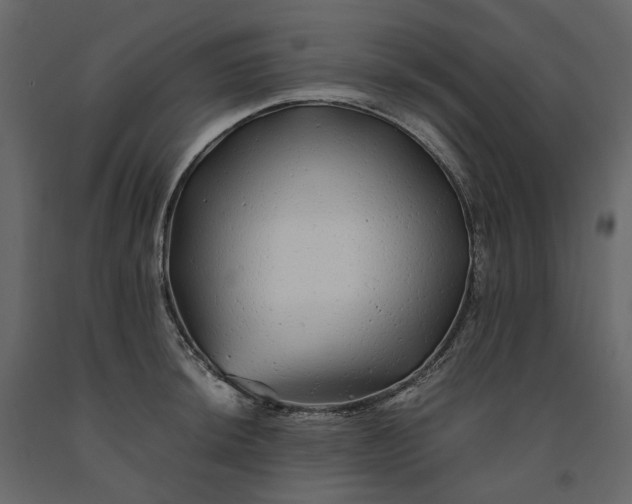 X0000091241044200708231712