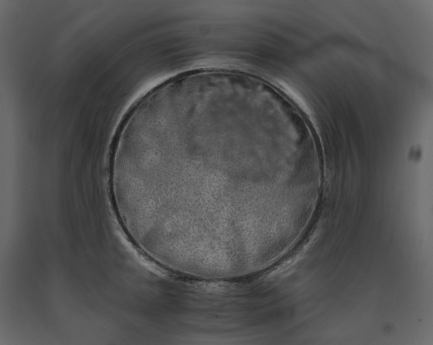 X0000091241045200708231712