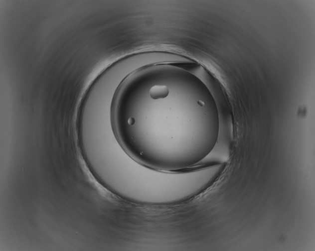X0000091241046200708231713