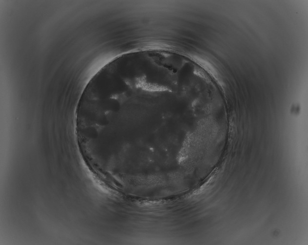 X0000091241047200708231713