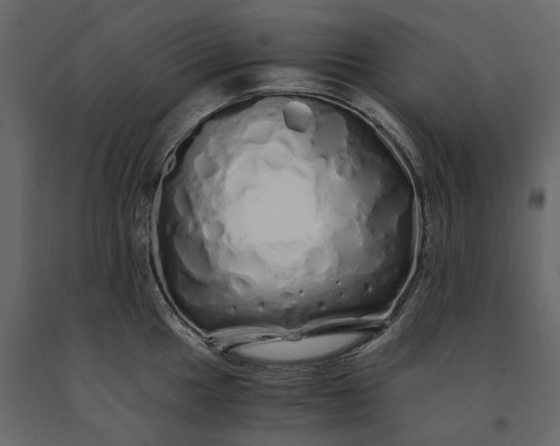 X0000091241049200708231713