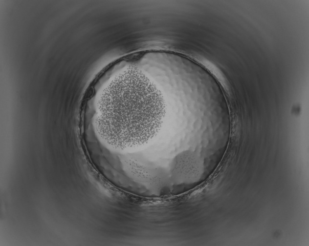 X0000091241051200708231713