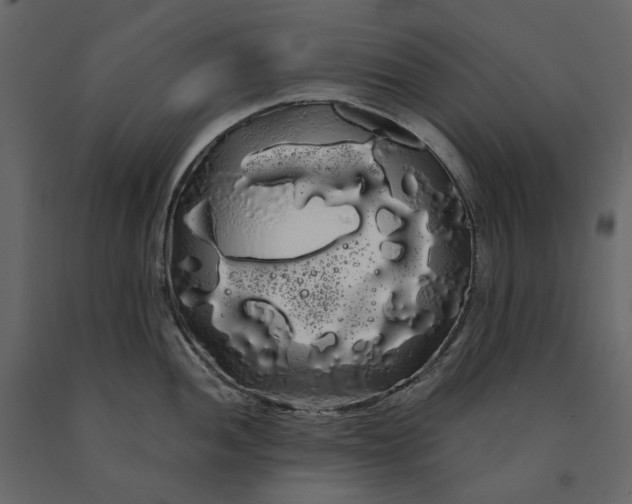 X0000091241052200708231713