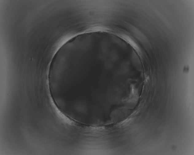 X0000091241055200708231713