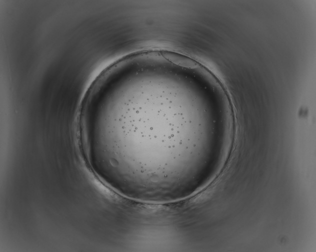 X0000091241056200708231713