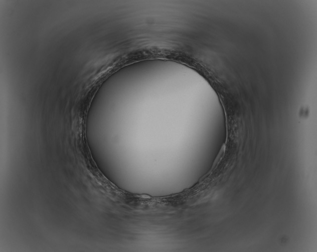 X0000091241061200708231712