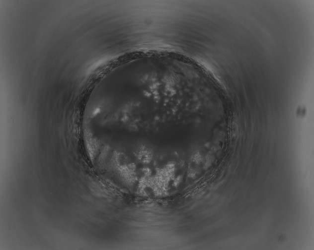 X0000091241063200708231712