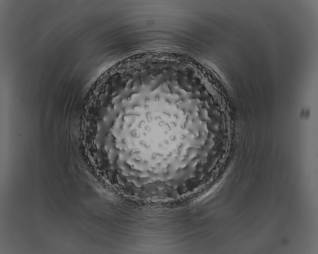 X0000091241065200708231712
