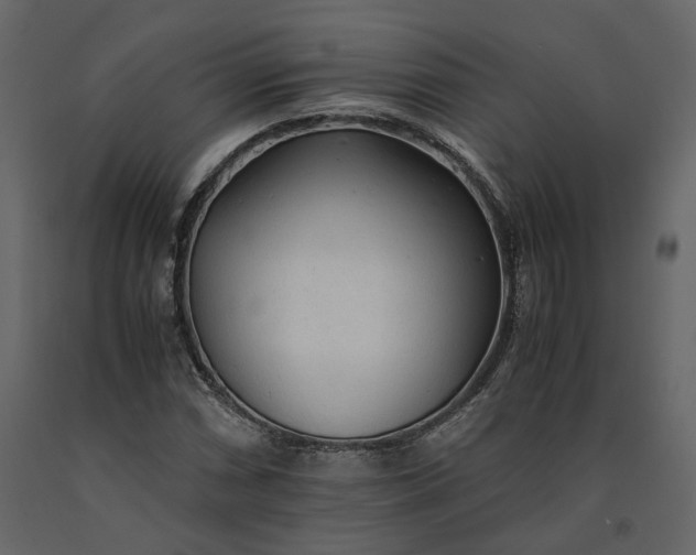 X0000091241066200708231712
