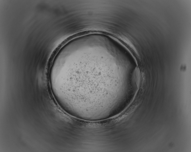 X0000091241068200708231712