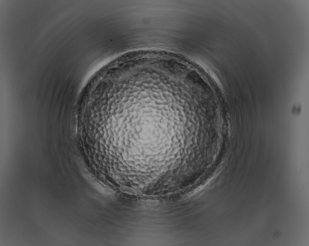X0000091241069200708231712