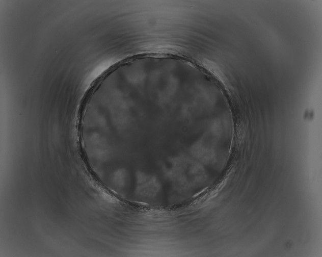 X0000091241071200708231712