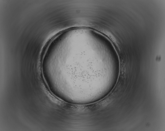 X0000091241072200708231712