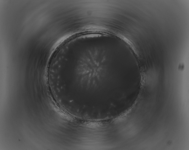 X0000091241074200708231712