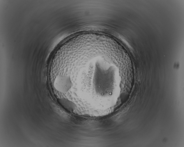 X0000091241075200708231712