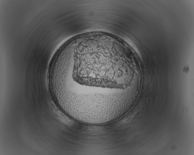 X0000091241076200708231712