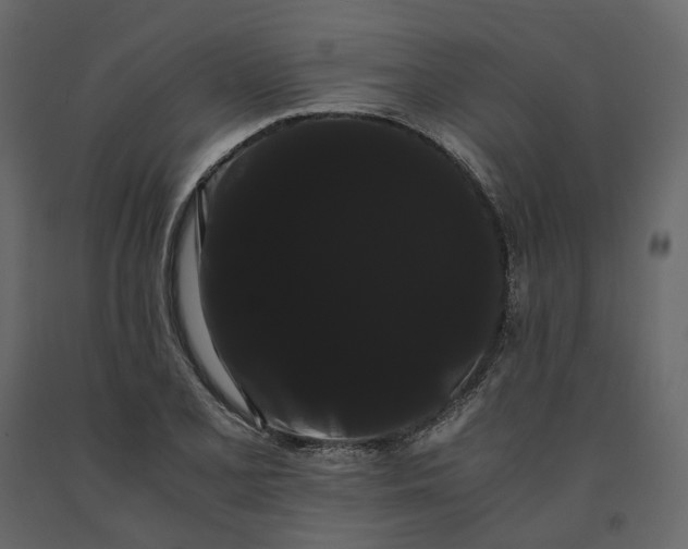 X0000091241077200708231712