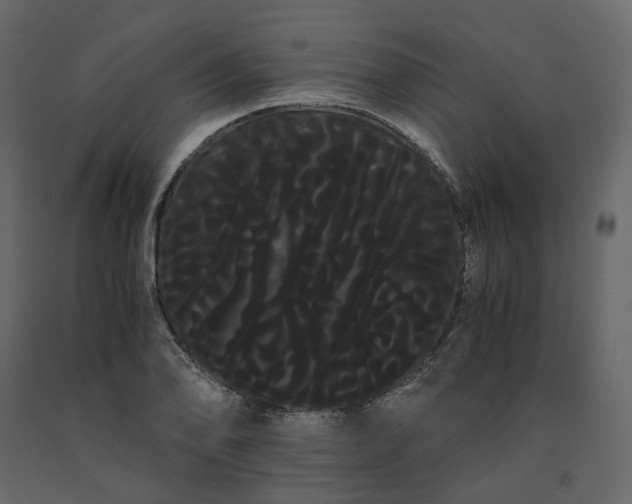 X0000091241078200708231712