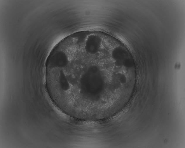 X0000091241079200708231712