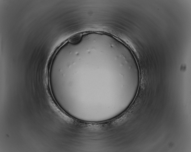 X0000091241080200708231712