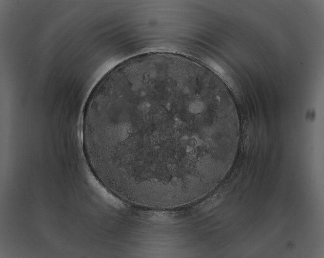 X0000091241084200708231712