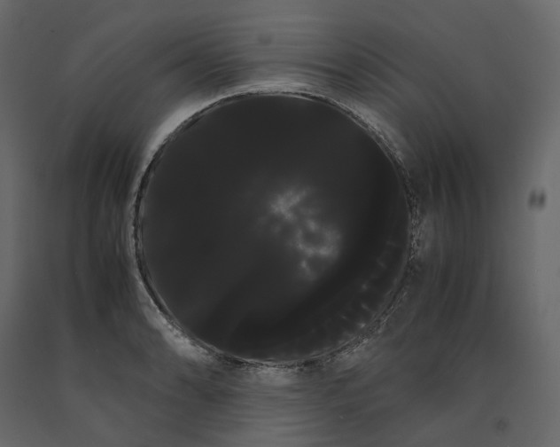 X0000091241086200708231712